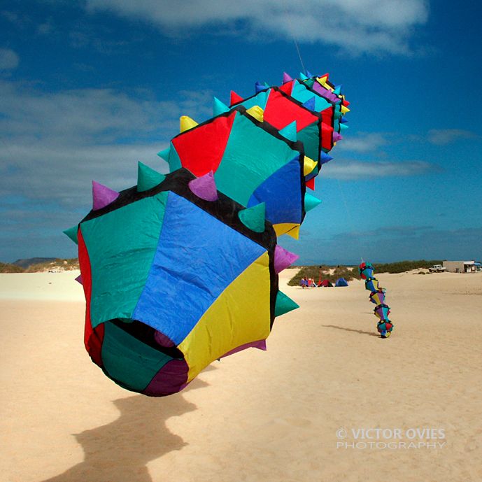 DUNAS DE CORRALEJO- COMETAS